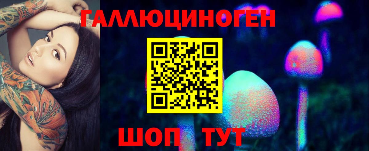 Псилоцибиновые грибы Psilocybe  Вход с VPN  Прохладный 